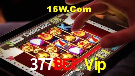 377Bet Vip Salvador - Statistics